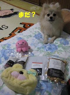 画像 046.jpg