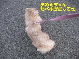画像 074.jpg