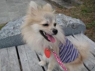 画像 078.jpg