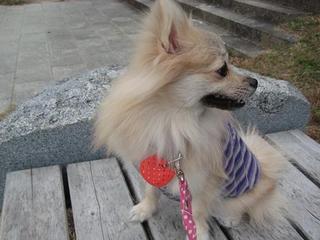 画像 079.jpg