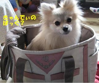 画像 108.jpg