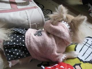 画像 109.jpg