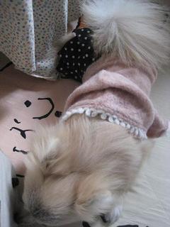 画像 110.jpg
