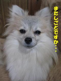 画像 117.jpg