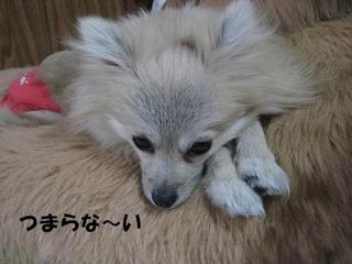 画像 118.jpg