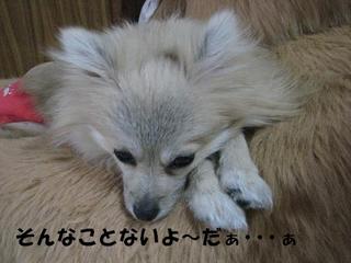 画像 119.jpg