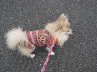 画像 123.jpg