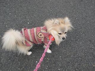 画像 124.jpg