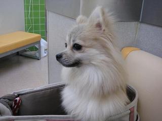 画像 158.jpg