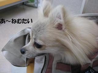 画像 159.jpg
