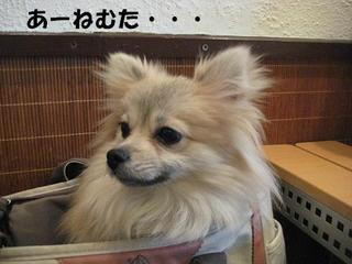 画像 161.jpg
