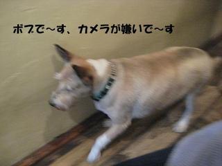画像 162.jpg