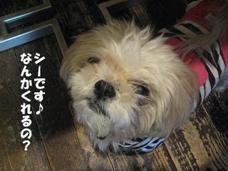画像 164.jpg