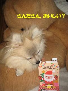画像 166.jpg