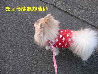画像 170.jpg
