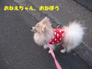画像 172.jpg