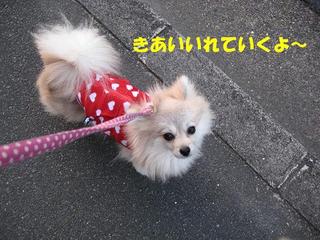 画像 173.jpg