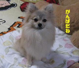 画像 174.jpg