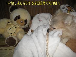 画像 176.jpg