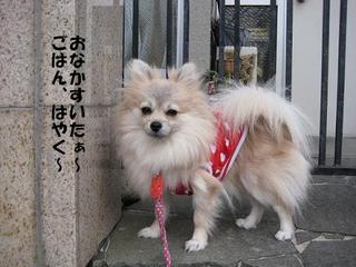 画像 196.jpg