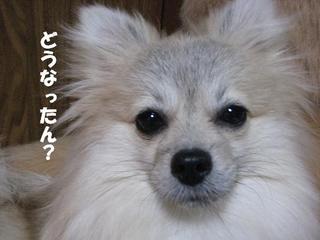 画像 197.jpg