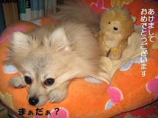 画像 198.jpg
