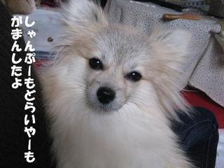 画像 209.jpg