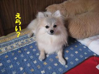画像 211.jpg