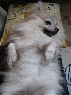 画像 225.jpg