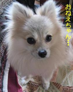 画像 245.jpg