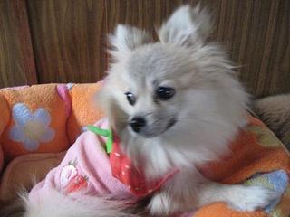 画像 246.jpg