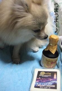 画像 251.jpg