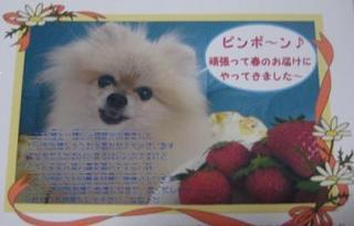 画像 252.jpg