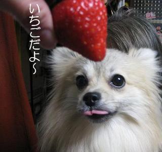 画像 254.jpg