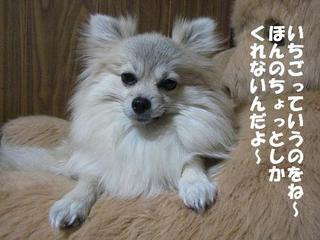画像 256.jpg