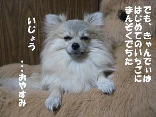 画像 257.jpg
