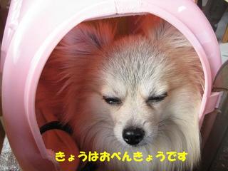 画像 259.jpg