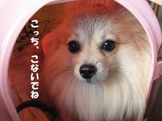 画像 260.jpg