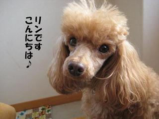 画像 261.jpg