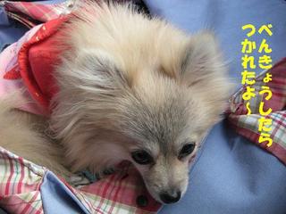 画像 264.jpg