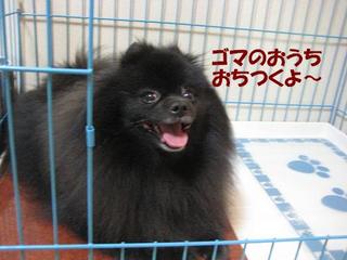 画像 275.jpg