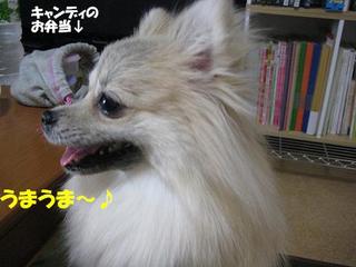 画像 281.jpg