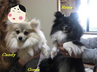 画像 283.jpg