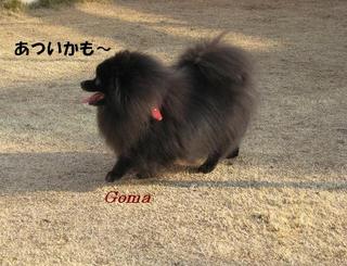 画像 298.jpg