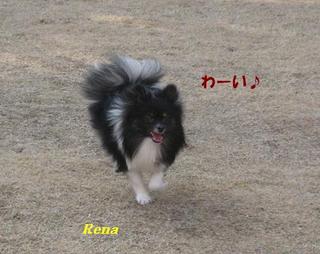 画像 299.jpg