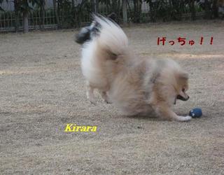 画像 302.jpg