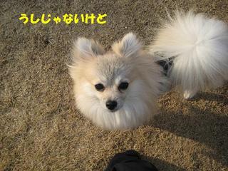 画像 315.jpg