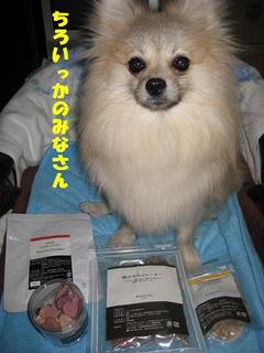 画像 330.jpg