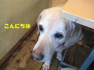 画像 336.jpg