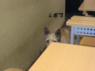 画像 349.jpg